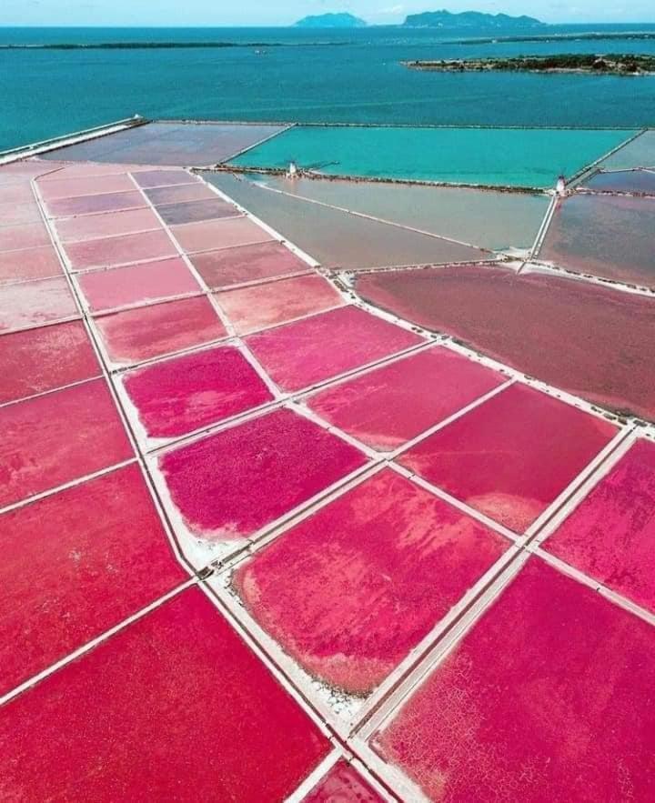 Вилла La Conchiglia Марсала Экстерьер фото
