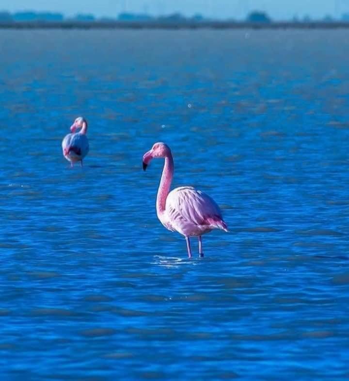 Вилла La Conchiglia Марсала Экстерьер фото